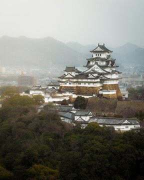 Aerial view of the majestic Himeji Castle rising from a sea of green, its white walls contrasting with the muted sky, a timeless sentinel over the city, Himeji, Hyogo, Japan.