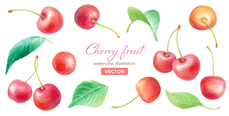 水彩のさくらんぼと葉のイラストセット　装飾素材
（ベクター）
