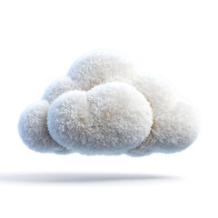 Fluffy white cloud isolated on white background