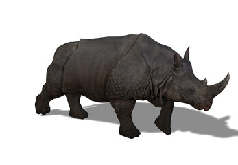 Obraz premium rhino isolated on black background