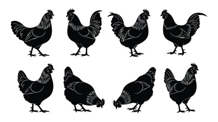 Fototapeta premium Black chicken silhouettes collection showing farm poultry hens and roosters isolated on white background vector illustration rural animal design set
