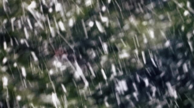 Beautiful snow falling, snow flakes with pine trees on background, skiing atmosphere