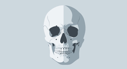 Stylized human skull against a grey background.