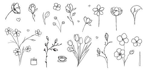 Hand drawn flowers. Doodle flowers and a bouquets of flowers. Floral set