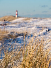 Plakat Snowy landscape on Sylt island in Germany
