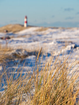 Snowy landscape on Sylt island in Germany
