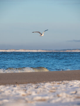 Snowy landscape on Sylt island in Germany