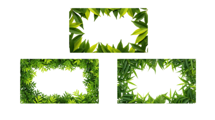 Leaf Frame Border