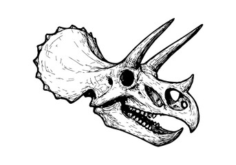 Triceratops hand drawn simple sketch vector illustration © Shutoda