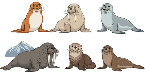 Marine mammal vector set with seals sea lions and walrus arctic wildlife illustration collection © Sumon Creative