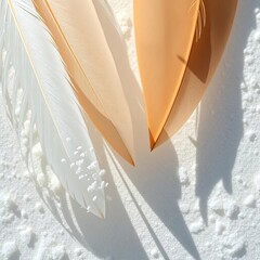 Seabird feathers and dried seafoam form delicate, overlapping geometric shapes in macro view,  art,  ethereal