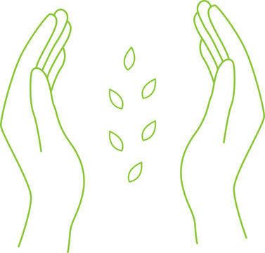 Abstract green line icon showing two human hands gently cupping and protecting falling leaves, representing ecology, growth, and sustainable nature care.