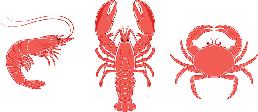 Red seafood crustaceans vector set with shrimp lobster and crab isolated on white background illustration