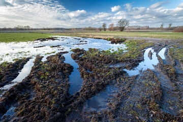 Mud and water on the meadow and traces of agricultural equipment wheels