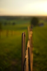 Rustic wooden fence in serene green countryside landscape at sunset