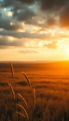 Vast ochre plains, sky a bruised canvas, light bleeds through bruised clouds, isolating golden blades,  earth tones,  atmospheric