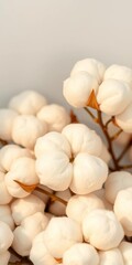 Soft, fluffy cotton bolls, representing natural fibers and organic comfort,  soft,  pattern