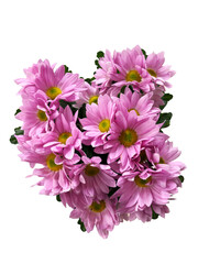 pink purple daisies bouquet png cutout real  flowers