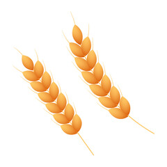 Vector illustration of Wheat Grain on transparent background