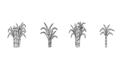 Four black and white illustrations of palm trees with varying trunk and leaf details
