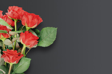Lush Bouquet of Red Roses on Dark Elegant Background with Copy Space. Modern Concept of Luxury Floral Gifts, Romantic Greetings, Professional Event Decor, and Sant Valentines Day Visuals for Branding