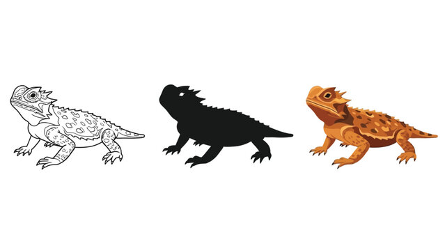 Set of three illustrations of a horned lizard line art, silhouette and full color realistic drawing of desert reptile