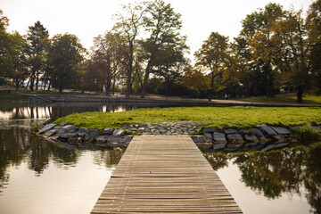 Fototapeta premium Wooden dock reaching out over still water, reflecting autumn trees and green grass in a peaceful Letna park landscape