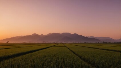 Obraz premium Fields of green, under a soft, hazy sunrise, with mountains in the distance