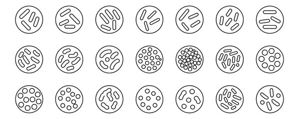Variety of cell structures in biology illustrations