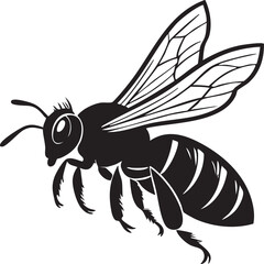 Obraz premium Bee Silhouette – Black Line Vector Illustration Featuring Detailed Wings, Antennae, and Striped Abdomen
