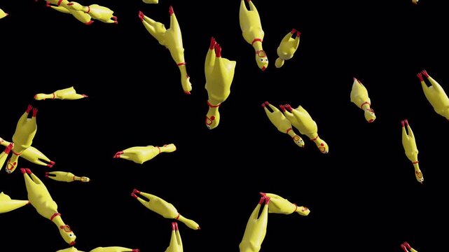 Screaming Chicken Fall with Alpha Channel amd Loop