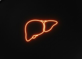 Neon Human Liver Outline