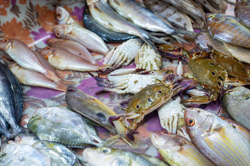 Fresh fish and live crabs displayed together on a colorful market table, showing textures, shapes, and seafood variety ready for cooking and sale today
