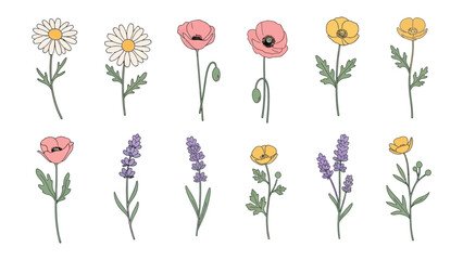 Floral Whispers: A delicate assortment of wildflowers, in a collection showcasing the beauty and diversity of nature. Perfect for adding a touch of floral charm.