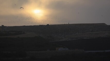 Garbage waste serv of Malta. Scenic view of a large multi-layered landfill at sunset in Malta, with numerous birds flying over the waste mounds against a golden hazy sky. 4k video