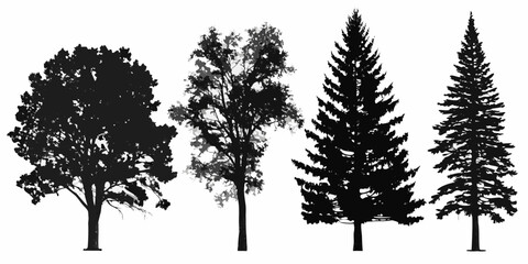 Silhouettes of diverse trees including deciduous and coniferous varieties © Sudhakar