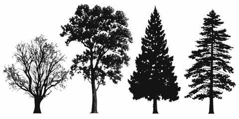 Silhouette collection of diverse trees including deciduous and coniferous types © Sudhakar