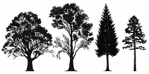 Silhouettes of diverse trees against a plain white background © Sudhakar