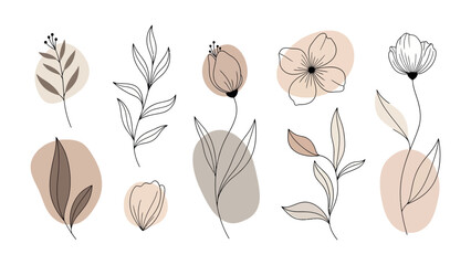 Botanical Illustration: An elegant collection of delicate botanical illustrations. Showcasing intricate details and a refined aesthetic with minimalist, drawing, graphic style.