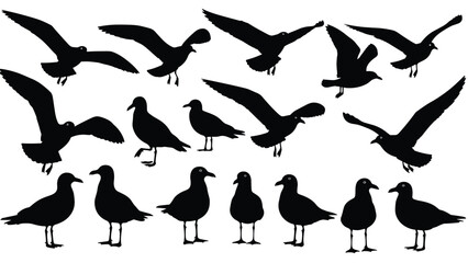 Black seagull silhouettes collection showing flying and standing birds isolated on white background vector illustration wildlife nature design elements set © MDKANAL
