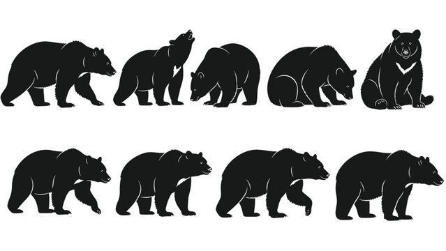 Set of black bear silhouettes vector collection isolated wildlife animal poses forest mammal icons minimalist nature illustration design elements