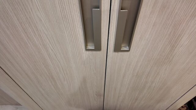 Wooden Cabinet Doors with Modern Handles Close Up