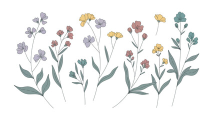 Blooming Botanical Beauty: An artistic illustration of delicate wildflowers in full bloom, showcasing vibrant colors and intricate details, celebrating the elegance of nature's artistry.