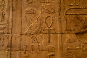 Ancient Egyptian hieroglyphs carved on a stone wall in Luxor Temple showcasing symbols of life and protection