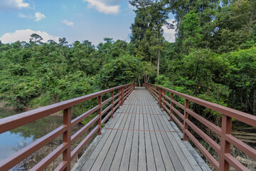 wooden bridge over waterway in dense khao yai forest clear sky backdrop