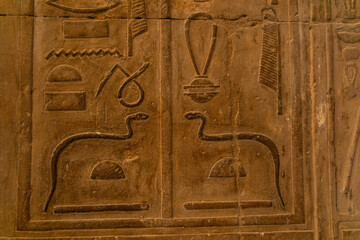 Ancient symbols of snakes and objects carved on stone wall of historic site in Luxor Temple during daylight
