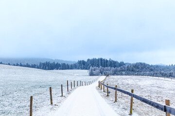 Quiet winter countryside with a snow-covered path leading through frosty fields toward a distant forest. Minimal rural landscape, soft light, calm atmosphere and ample copy space