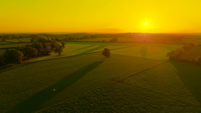 Sun setting over rolling farmlands of England, bathing fields in golden light. Long shadows fall across lush pastures and grain crops. Peaceful rural landscape of the United Kingdom glowing in evening