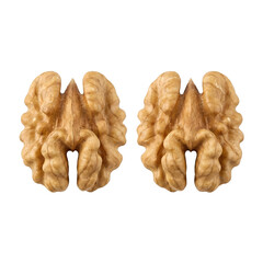 Two halves of a walnut kernel