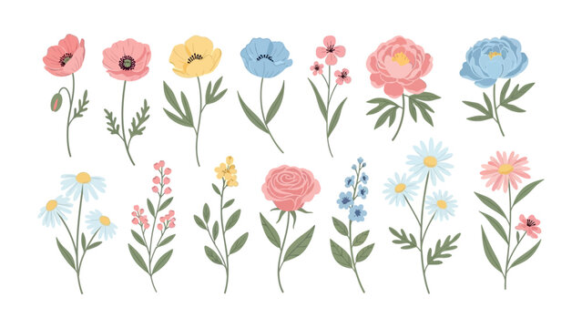 Floral Symphony: A collection of various hand-drawn spring blooms, each in a vibrant color palette, evoking a sense of joy and the freshness of spring. 